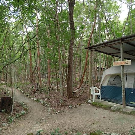 Conhuas Campamento Yaax Che En Calakmul מראה חיצוני תמונה