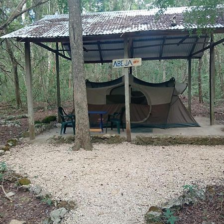 Conhuas Campamento Yaax Che En Calakmul מראה חיצוני תמונה