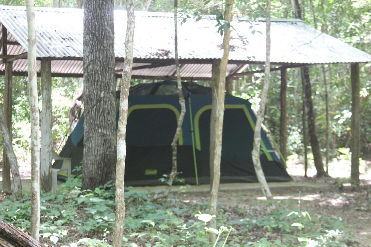 Conhuas Campamento Yaax Che En Calakmul מראה חיצוני תמונה