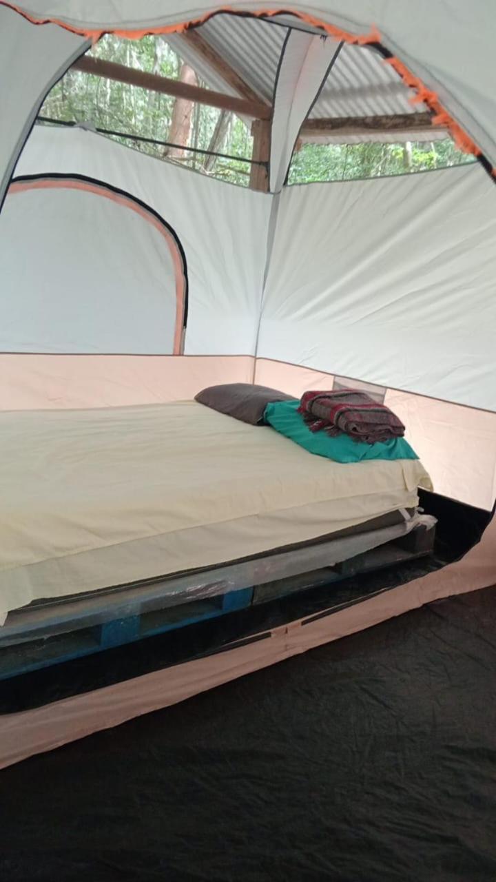 Conhuas Campamento Yaax Che En Calakmul חדר תמונה