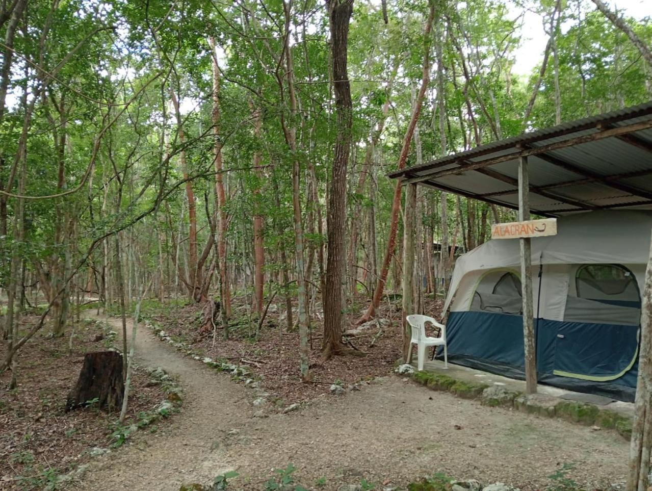 Conhuas Campamento Yaax Che En Calakmul מראה חיצוני תמונה