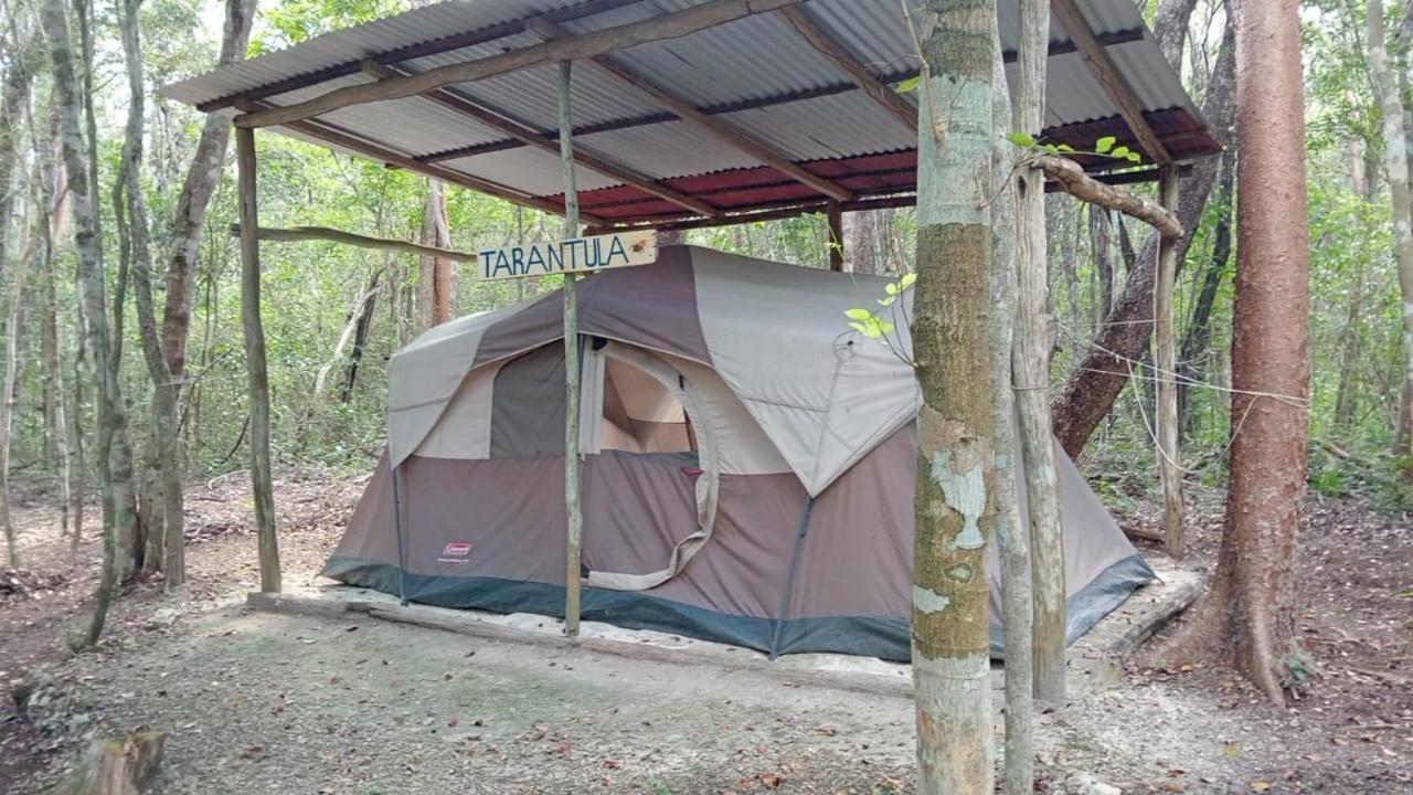 Conhuas Campamento Yaax Che En Calakmul חדר תמונה