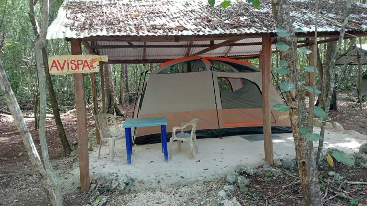 Conhuas Campamento Yaax Che En Calakmul חדר תמונה