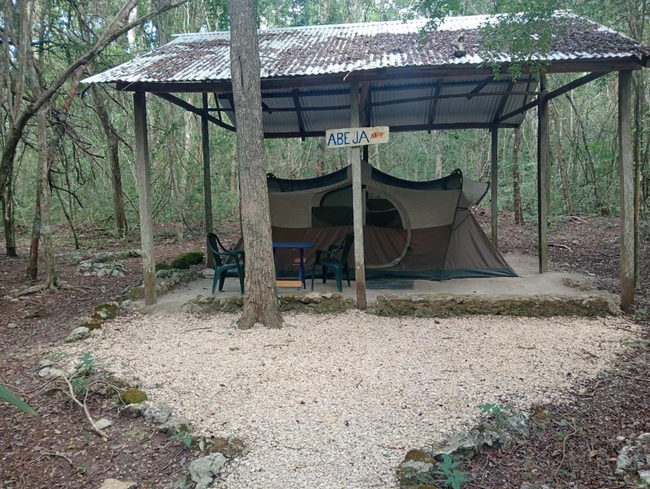 Conhuas Campamento Yaax Che En Calakmul מראה חיצוני תמונה