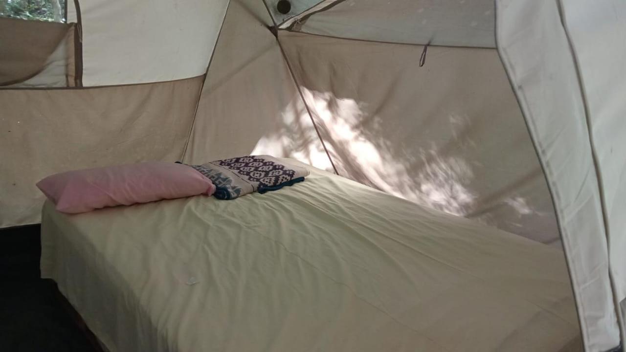 Conhuas Campamento Yaax Che En Calakmul חדר תמונה