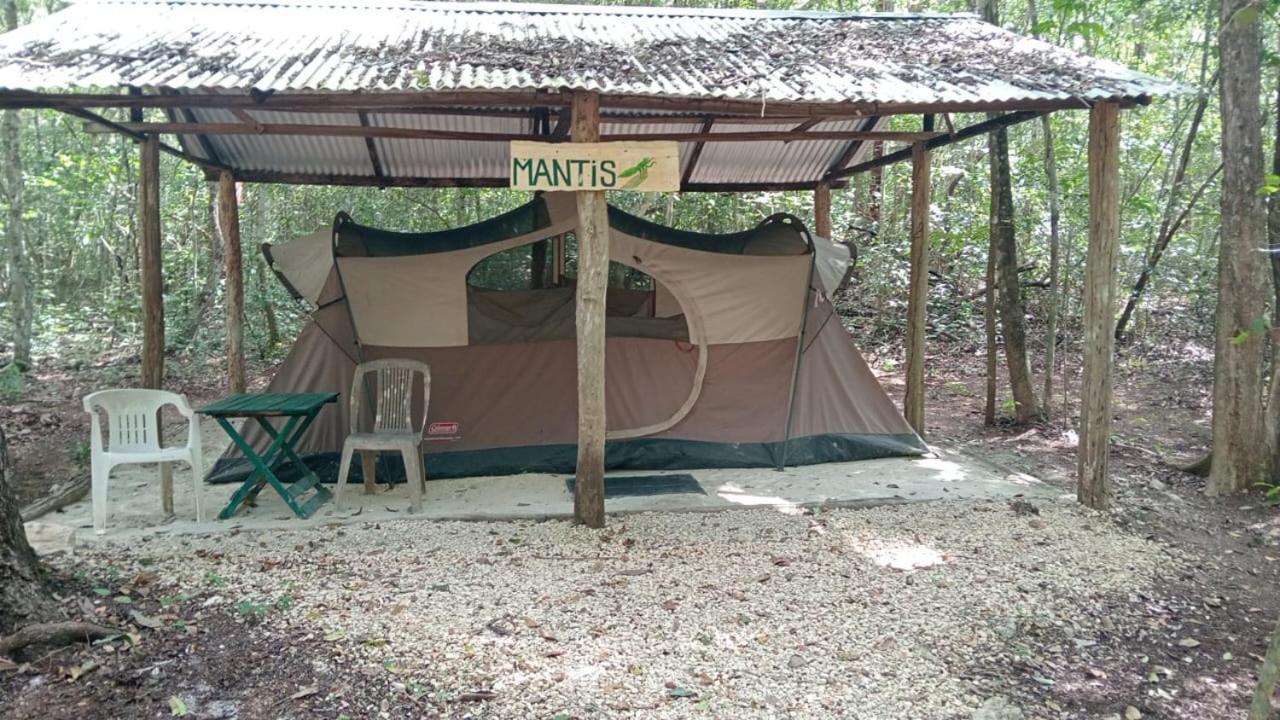 Conhuas Campamento Yaax Che En Calakmul חדר תמונה