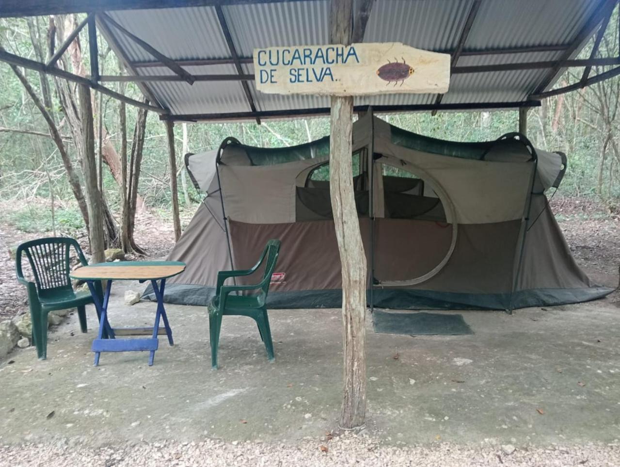 Conhuas Campamento Yaax Che En Calakmul חדר תמונה