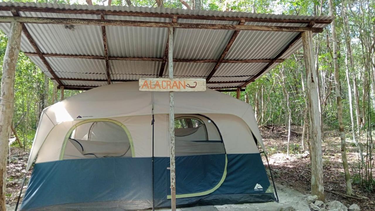 Conhuas Campamento Yaax Che En Calakmul חדר תמונה