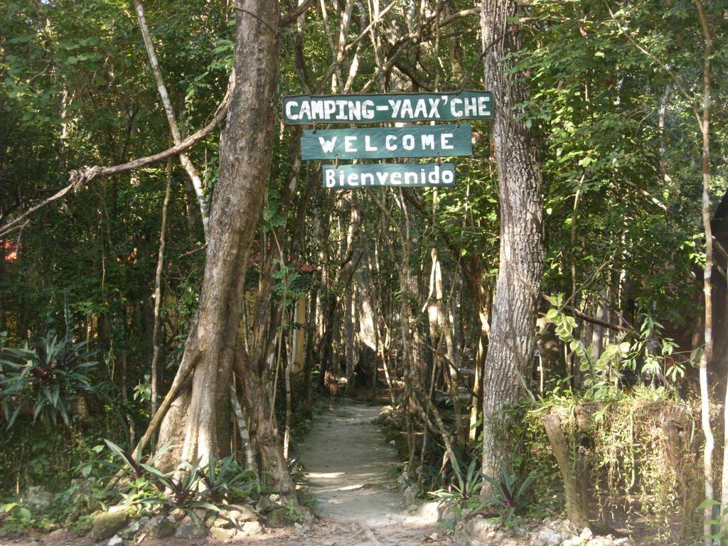 Conhuas Campamento Yaax Che En Calakmul חדר תמונה