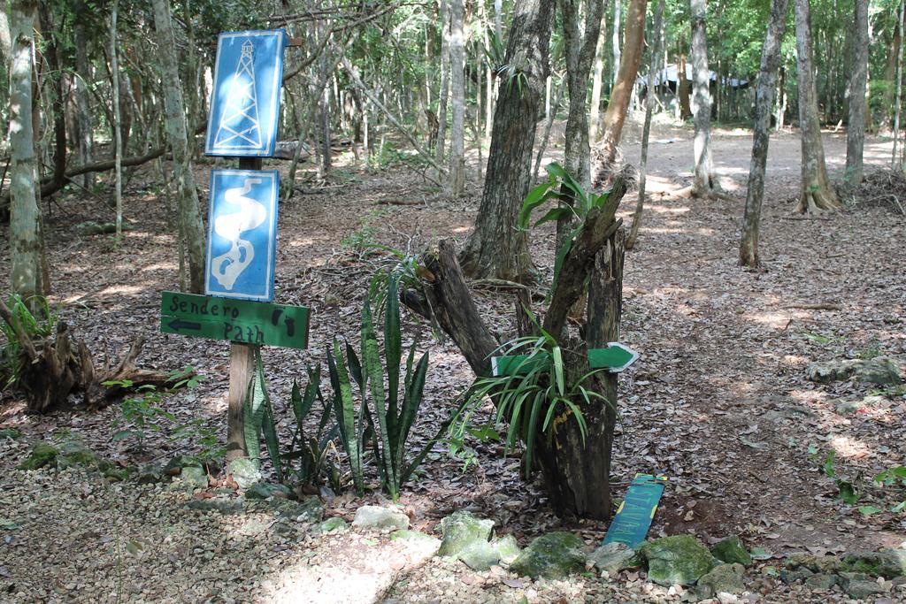 Conhuas Campamento Yaax Che En Calakmul מראה חיצוני תמונה