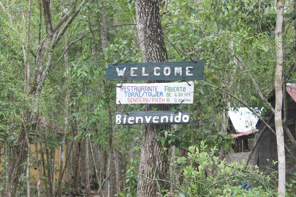 Conhuas Campamento Yaax Che En Calakmul מראה חיצוני תמונה
