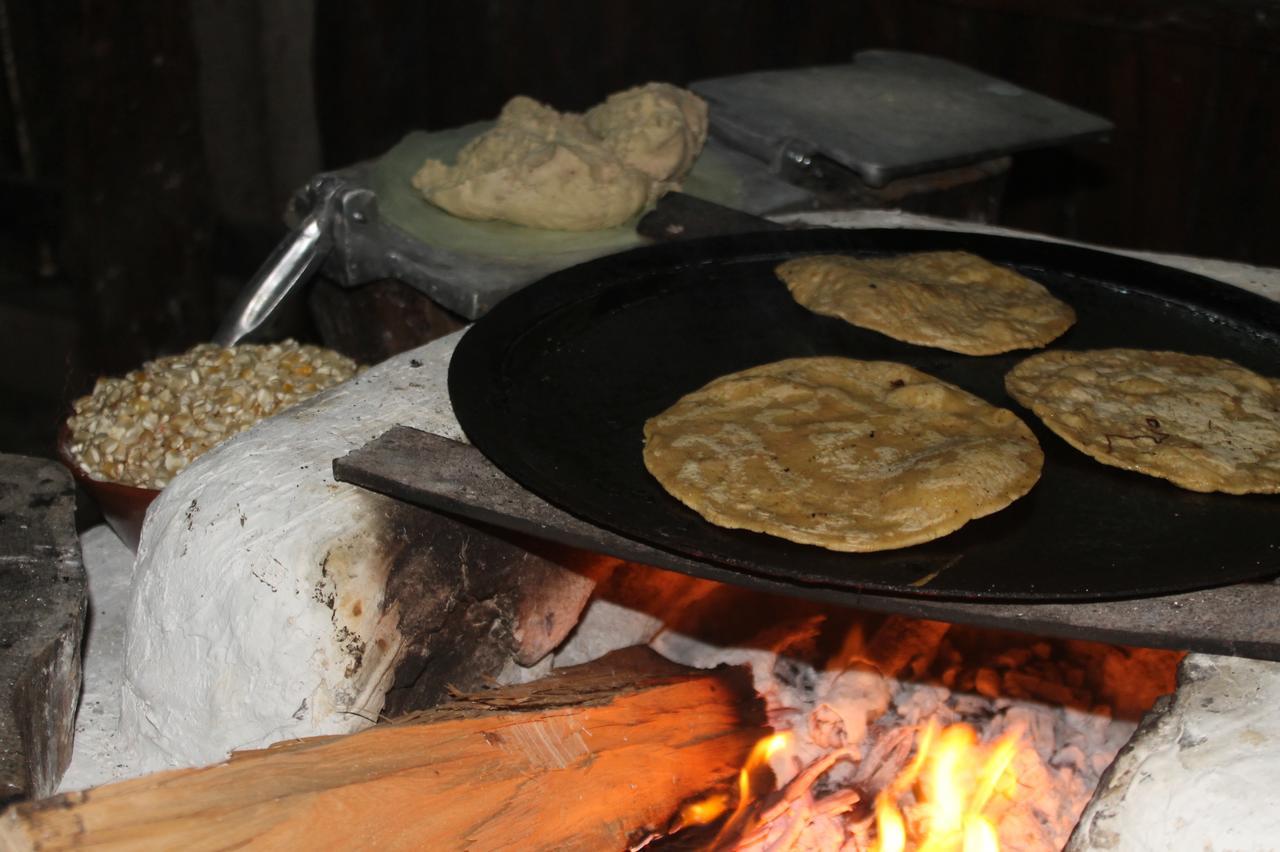 Conhuas Campamento Yaax Che En Calakmul מראה חיצוני תמונה